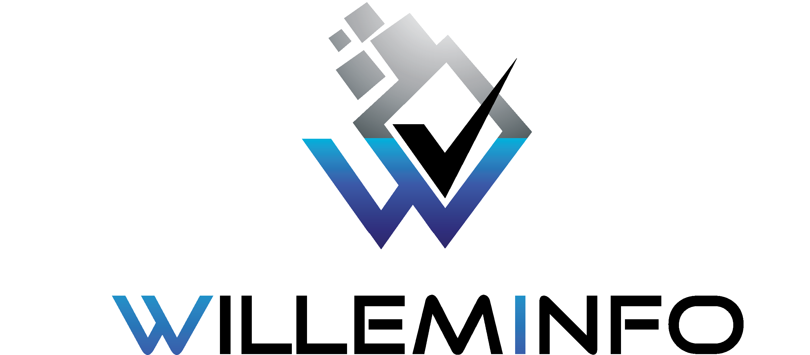 Logo Willeminfo